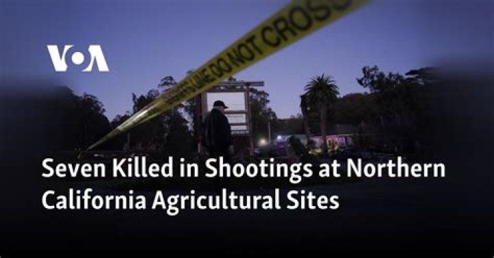 
7 dead after shootings at two California farms, suspect in custody 