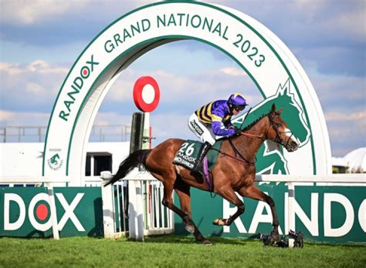 
All about Corach Rambler, Grand National 2023 winner 