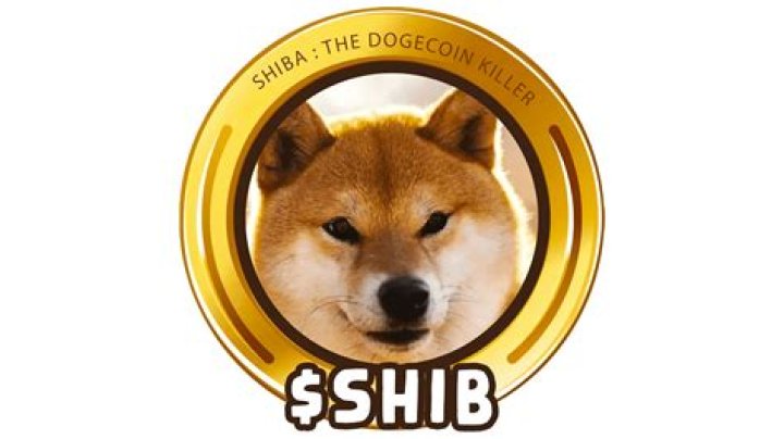 
What is Shiba Inu dog symbol? Elon Musk replaces Twitter logo with Dogecoin’s 